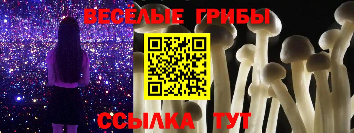 Сергиев Посад  Галлюциногенные грибы прущие грибы  Вход с VPN  Галлюциногенные грибы мухоморы 