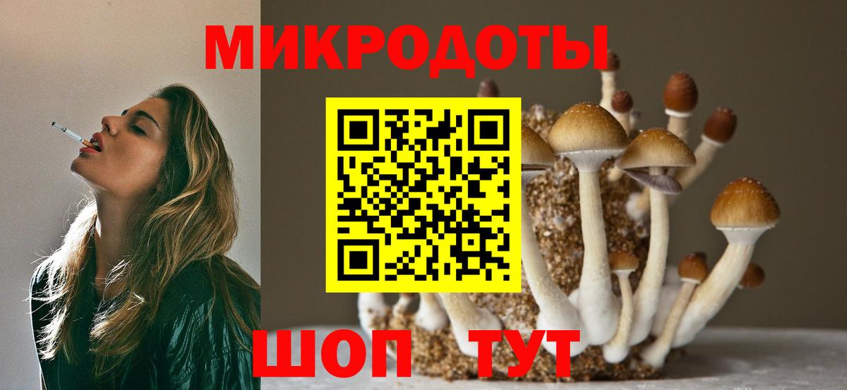 Галлюциногенные грибы прущие грибы Сергиев Посад